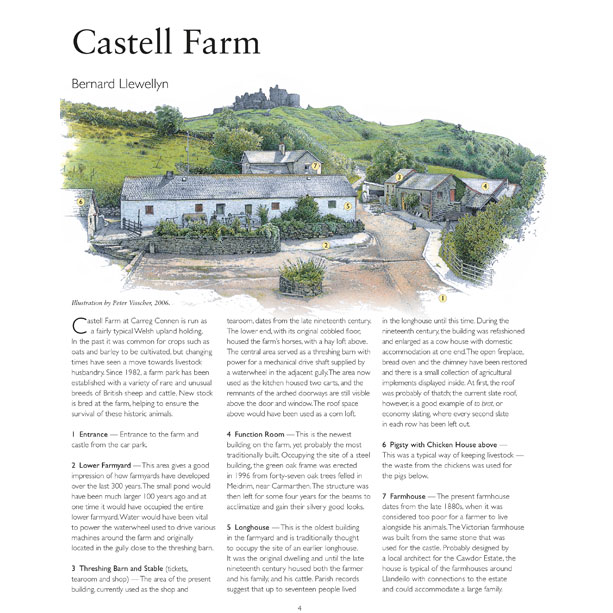 Carreg Cennen Pamphlet Guide